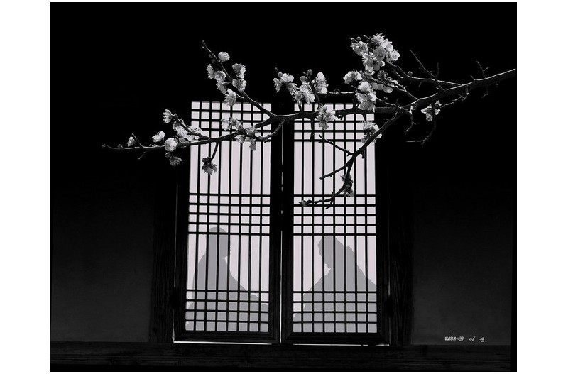   | PHOTO BY : 법연 권정욱  |