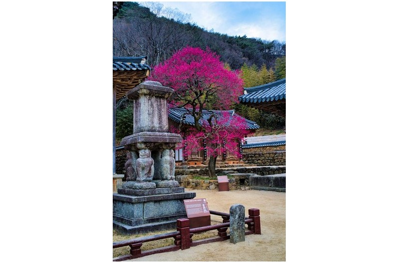   | PHOTO BY : 예봉.허재영  |