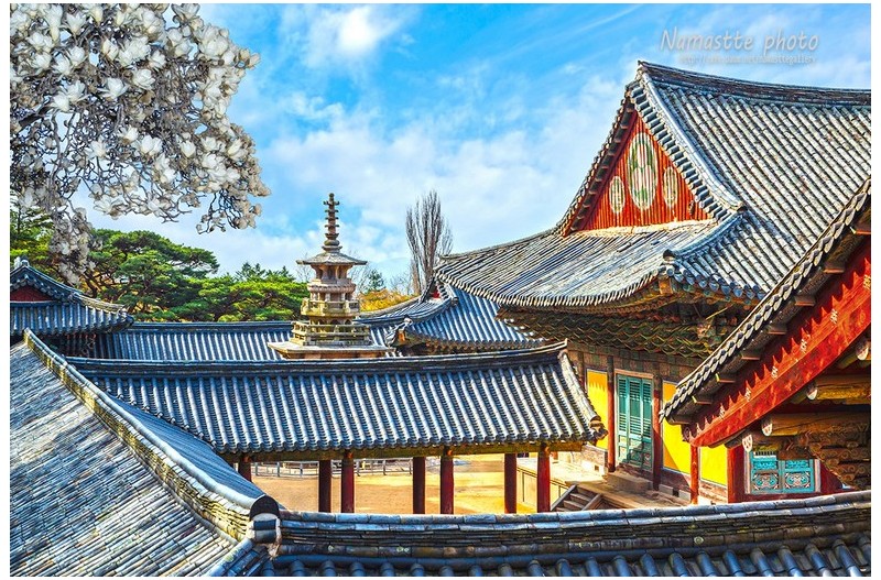   | PHOTO BY : 나마스떼/이필구  |