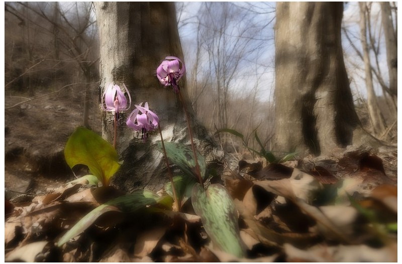   | PHOTO BY : 발전 박용식  |