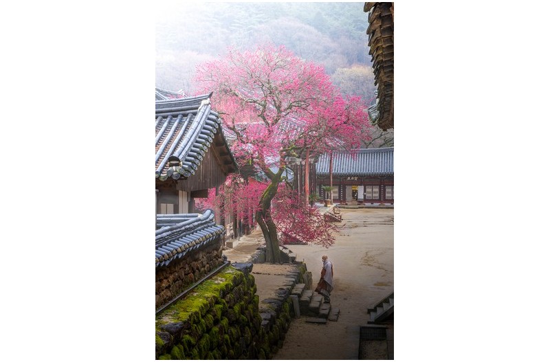   | PHOTO BY : 조현래  |