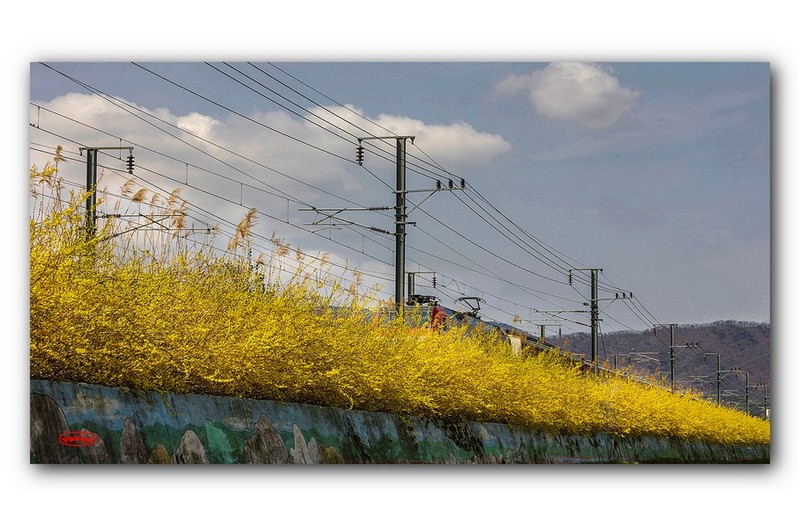 PHOTO BY jps  | Canon EOS R6  | 2024:03:27 11:38:30  | ISO-100 | 1/250 sec | f 13 | 96 mm | EV=-0.3 | ● WIDTH:1720 pixels  HEIGHT:990 pixels