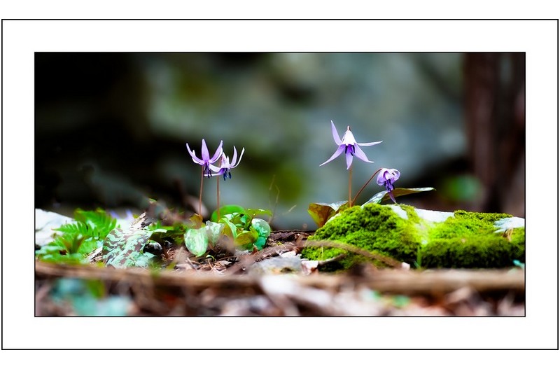   | PHOTO BY : 삿갓/정봉식  |