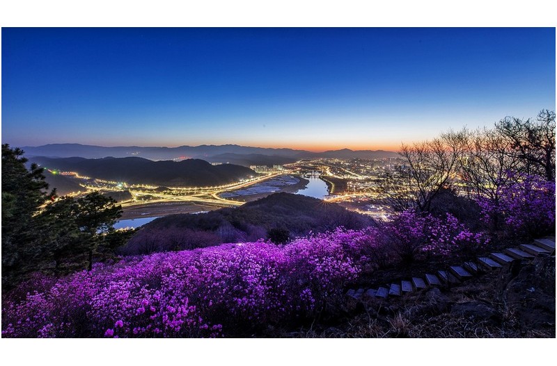   | PHOTO BY : 조현래  |