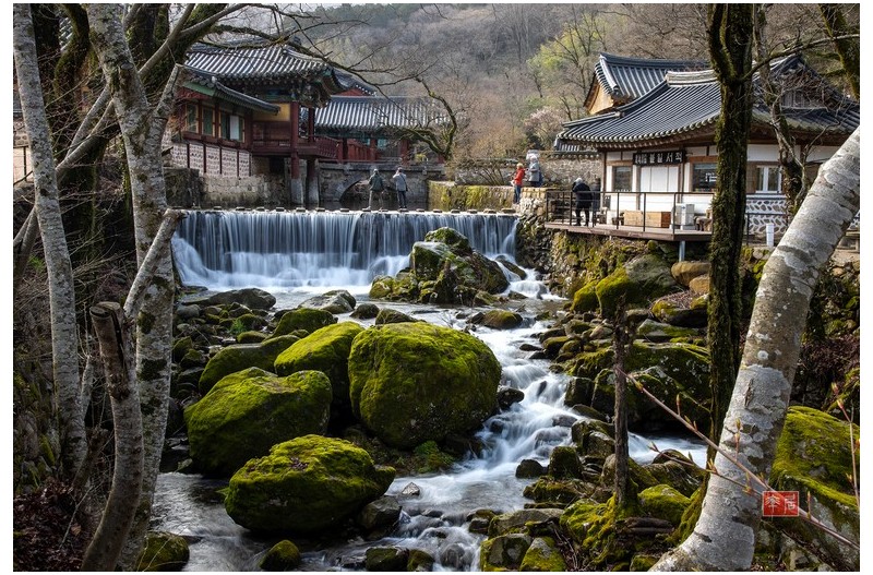 PHOTO BY changickheun  | Canon EOS-1D X Mark III  | 2024:03:29 09:04:27  | ISO-50 | 4/10 sec | f 22 | 40 mm | EV=0 | ● WIDTH:1800 pixels  HEIGHT:1209 pixels