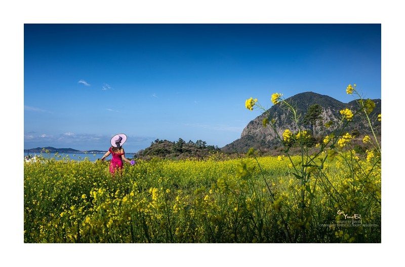 PHOTO BY  | NIKON Z 9  | 2024:03:27 08:14:54  | ISO-100 | 1/250 sec | f 11 | 30.5 mm | EV=0 | ● WIDTH:1600 pixels  HEIGHT:1180 pixels