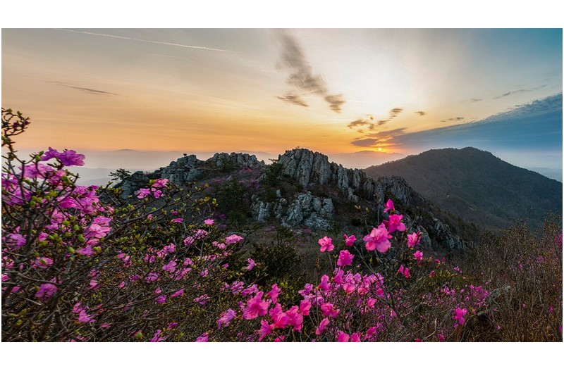 PHOTO BY MINKYUKIM  | Canon EOS 5D Mark III  | 2024:03:31 06:07:39  | ISO-200 | 1/30 sec | f 8 | 24 mm | EV=0 | ● WIDTH:1600 pixels  HEIGHT:897 pixels
