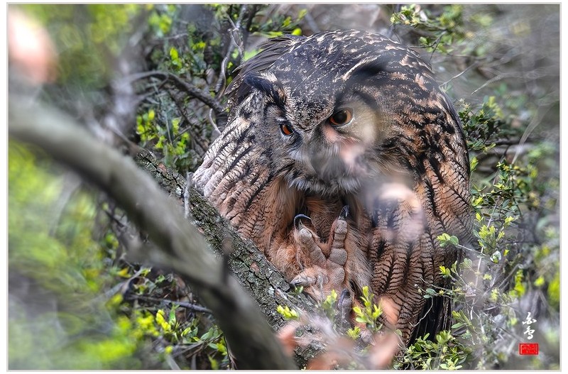PHOTO BY  | NIKON Z 9  | 2024:04:02 16:44:34  | ISO-2500 | 1/800 sec | f 8 | 1176 mm | EV=-0.3 | ● WIDTH:1700 pixels  HEIGHT:1132 pixels