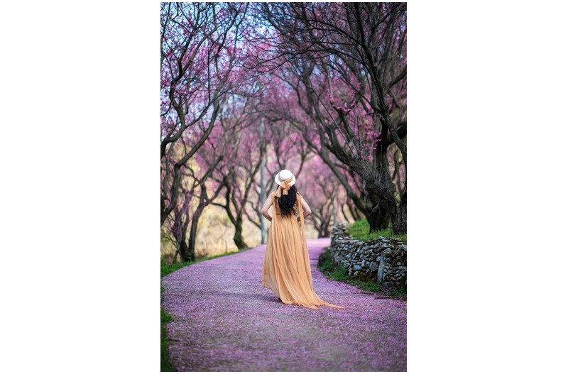 PHOTO BY KMS  | Canon EOS 5D Mark IV  | 2024:03:27 09:34:01  | ISO-50 | 1/2000 sec | f 1.4 | 85 mm | EV=0 | ● WIDTH:850 pixels  HEIGHT:1275 pixels