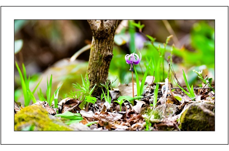   | PHOTO BY : 삿갓/정봉식  |