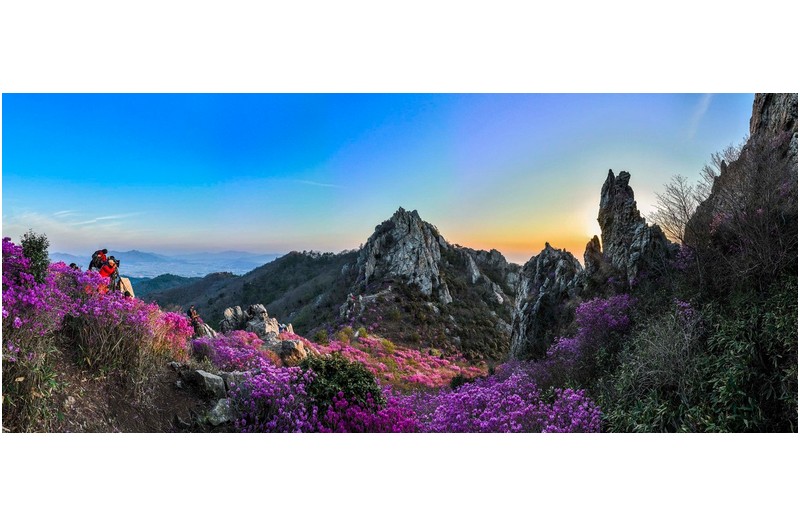 PHOTO BY  | L2D-20c  | 2023:04:03 06:37:58  | ISO-200 | 1/30 sec | f 7.1 | 12.29 mm | EV=-0.7 | ● WIDTH:3543 pixels  HEIGHT:1513 pixels