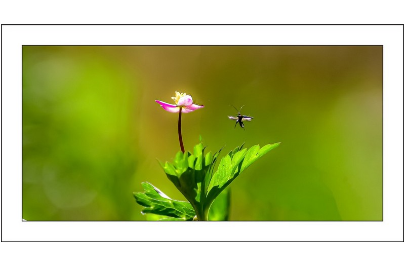   | PHOTO BY : 삿갓/정봉식  |