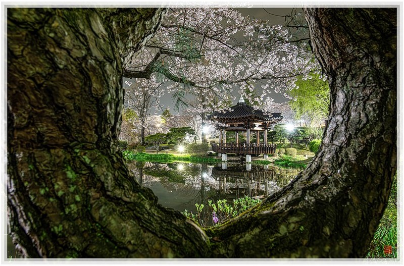 PHOTO BY  | NIKON D850  | 2024:04:05 04:29:53  | ISO-400 | 25/1 sec | f 10 | 20 mm | EV=0 | ● WIDTH:1500 pixels  HEIGHT:982 pixels
