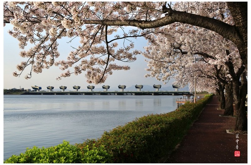   | PHOTO BY : 몰운대/조태열  |