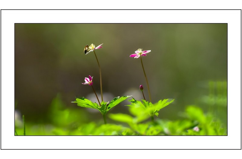   | PHOTO BY : 삿갓/정봉식  |