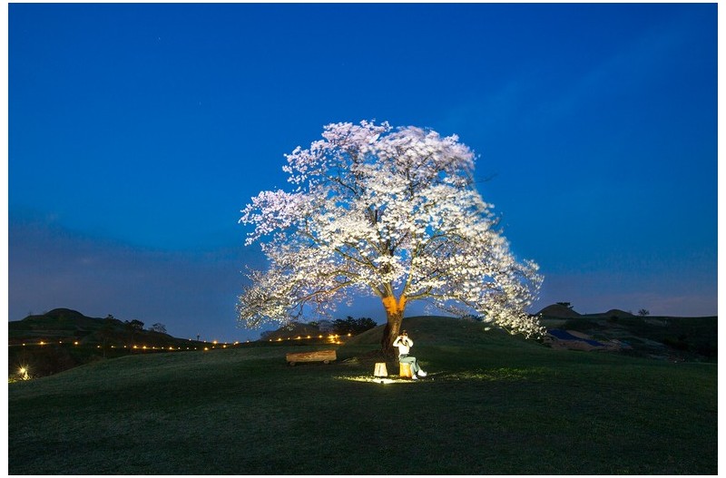 PHOTO BY  | Canon EOS 5D Mark III  | 2024:04:05 19:24:35  | ISO-160 | 1/0 sec | f 8 | 27 mm | EV=0 | ● WIDTH:1500 pixels  HEIGHT:1000 pixels