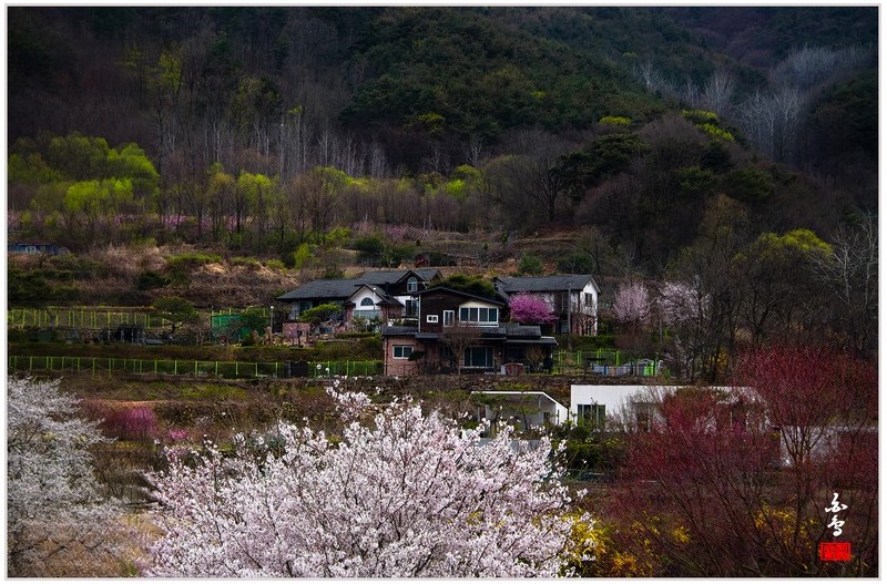 PHOTO BY SINSUKHEE  | NIKON D850  | 2024:04:04 15:49:02  | ISO-640 | 1/3200 sec | f 6.3 | 100 mm | EV=-1 | ● WIDTH:1700 pixels  HEIGHT:1120 pixels
