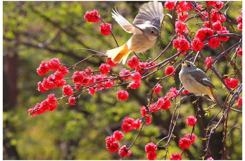 PHOTO BY HNalim  | Canon EOS 7D Mark II  | 2024:04:04 17:23:41  | ISO-1000 | 1/640 sec | f 8 | 85 mm | EV=0 | ● WIDTH:1800 pixels  HEIGHT:1200 pixels