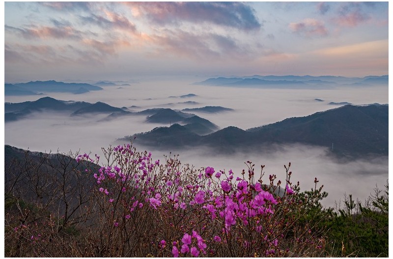 PHOTO BY  | NIKON Z 6_2  | 2024:04:06 07:24:21  | ISO-200 | 1/60 sec | f 16 | 27 mm | EV=0.3 | ● WIDTH:1500 pixels  HEIGHT:1000 pixels