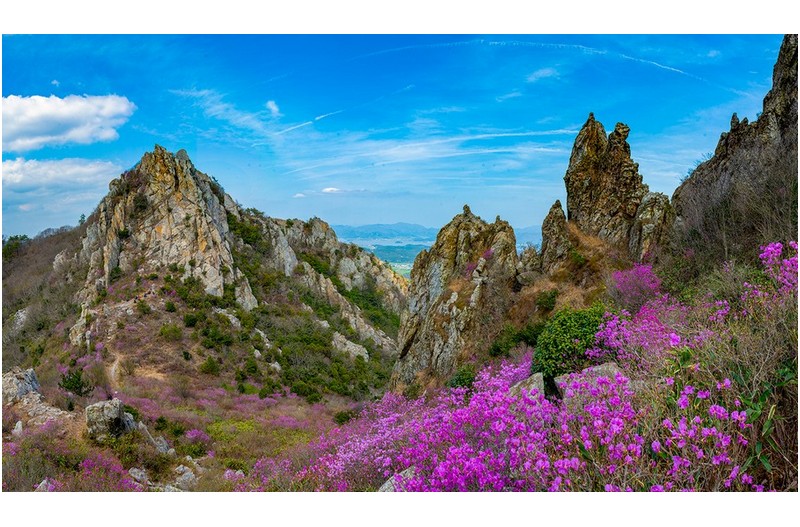 PHOTO BY KIMSIHWAN  | NIKON D850  | 2024:04:05 14:46:37  | ISO-64 | 1/40 sec | f 16 | 25 mm | EV=0 | ● WIDTH:1500 pixels  HEIGHT:864 pixels