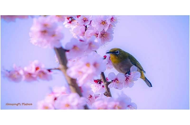   | PHOTO BY : 南松  |