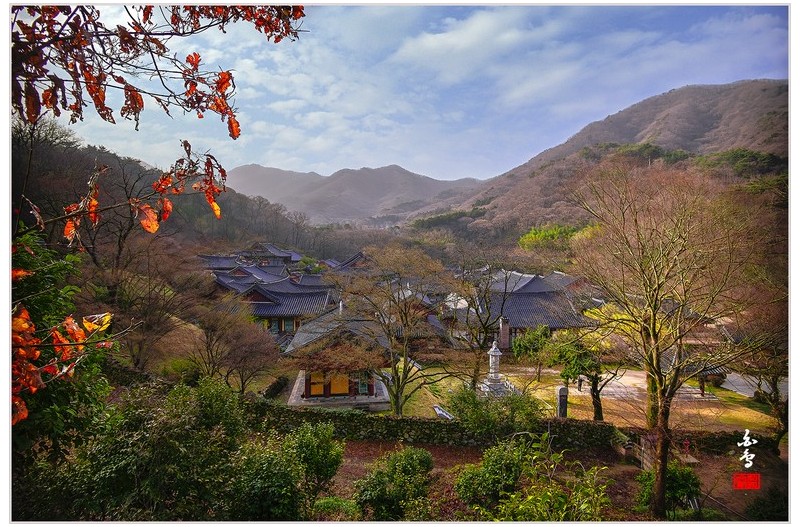 PHOTO BY SINSUKHEE  | NIKON D850  | 2024:03:29 07:57:18  | ISO-400 | 1/640 sec | f 8 | 18 mm | EV=-1 | ● WIDTH:1700 pixels  HEIGHT:1133 pixels