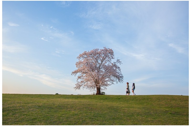 PHOTO BY  | Canon EOS 5D Mark III  | 2024:04:06 18:25:36  | ISO-320 | 1/250 sec | f 8 | 27 mm | EV=0 | ● WIDTH:1500 pixels  HEIGHT:1000 pixels