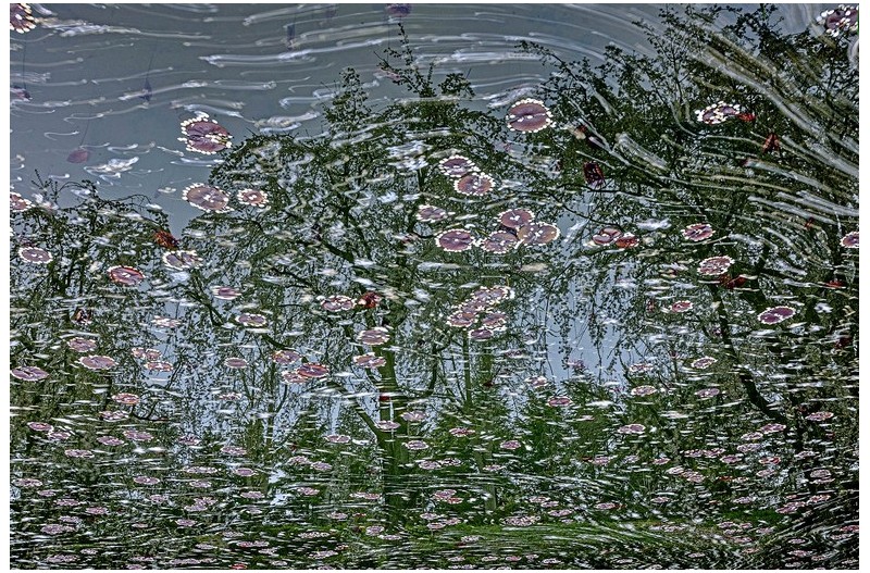 PHOTO BY jps  | Canon EOS R6  | 2024:04:08 16:12:28  | ISO-100 | 135/1 sec | f 29 | 35 mm | EV=0 | ● WIDTH:1600 pixels  HEIGHT:1067 pixels