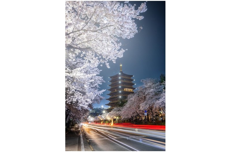   | PHOTO BY : 조현래  |