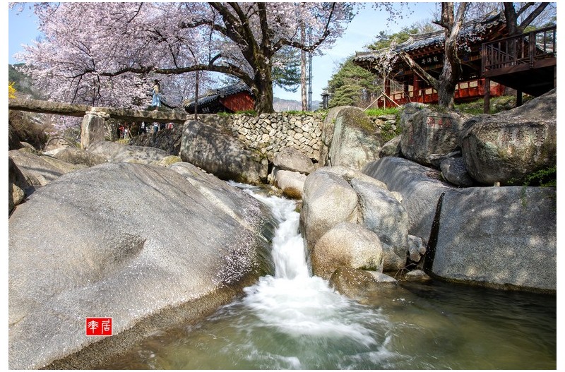 PHOTO BY changickheun  | Canon EOS-1D X Mark III  | 2024:04:10 09:12:38  | ISO-50 | 1/10 sec | f 22 | 28 mm | EV=0 | ● WIDTH:1800 pixels  HEIGHT:1208 pixels