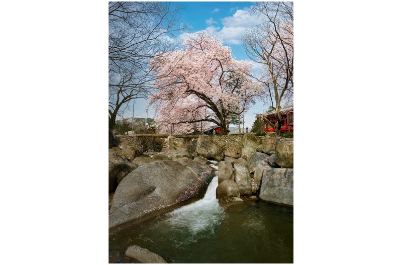   | PHOTO BY : jaick/제익  |