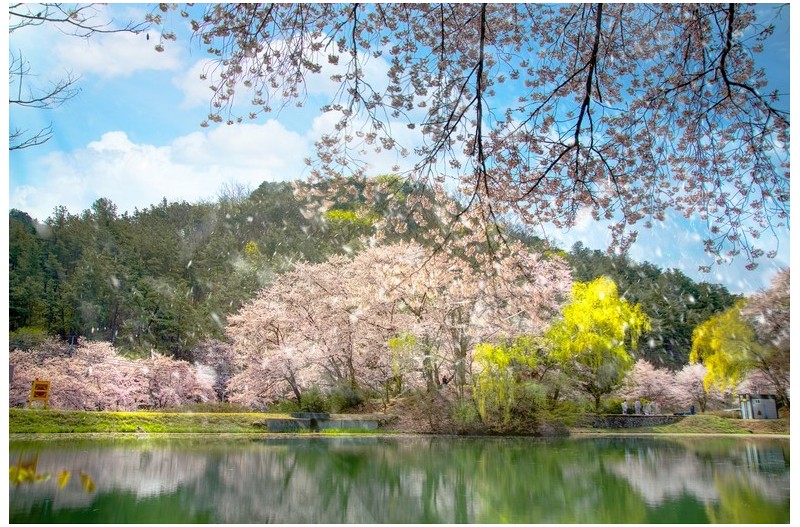 PHOTO BY JAICK  | Canon EOS 5D Mark IV  | 2024:04:10 11:08:35  | ISO-100 | 1/60 sec | f 11 | 24 mm | EV=0 | ● WIDTH:1850 pixels  HEIGHT:1234 pixels