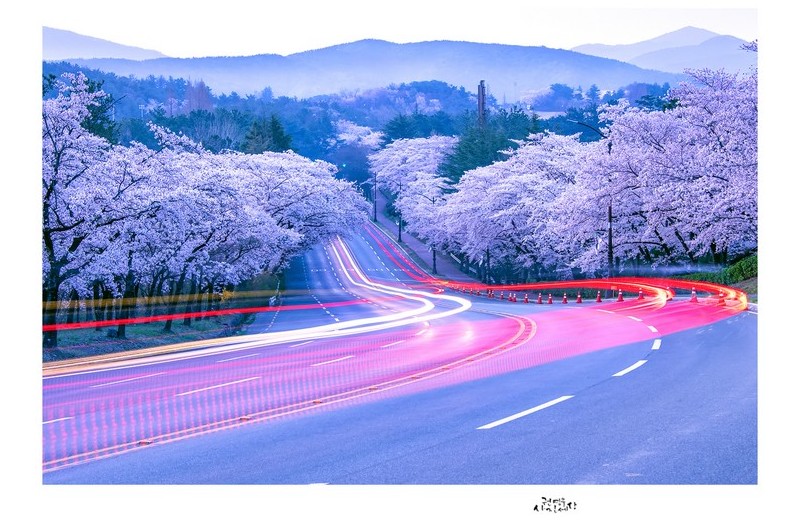 PHOTO BY Kwon Young Woo  | NIKON D850  | 2024:04:07 05:42:45  | ISO-200 | 30/1 sec | f 9 | 78 mm | EV=1 | ● WIDTH:1326 pixels  HEIGHT:947 pixels