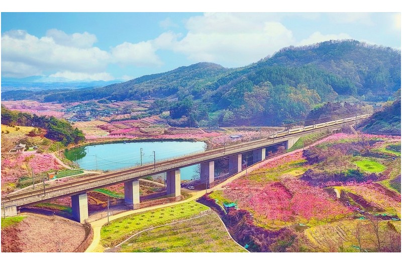 PHOTO BY  | FC8282  | 2024:04:08 09:12:26  | ISO-120 | 1/4000 sec | f 1.7 | 6.72 mm | EV=429496729.3 | ● WIDTH:1850 pixels  HEIGHT:1111 pixels