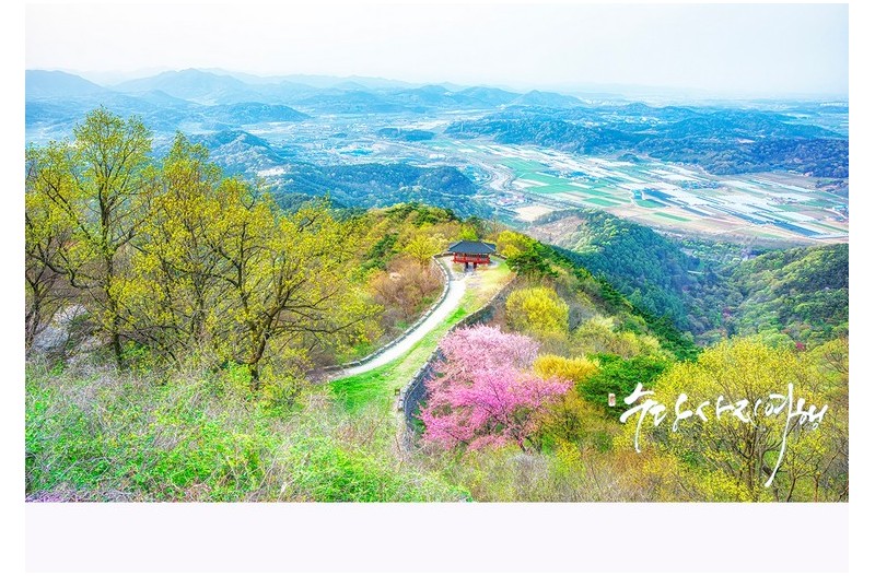   | PHOTO BY : 수당/박상돈  |