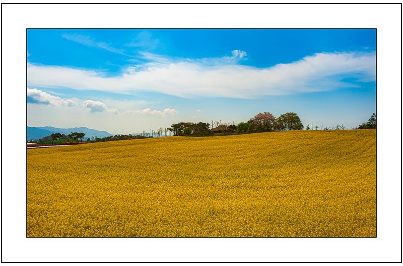   | PHOTO BY : 삿갓/정봉식  |