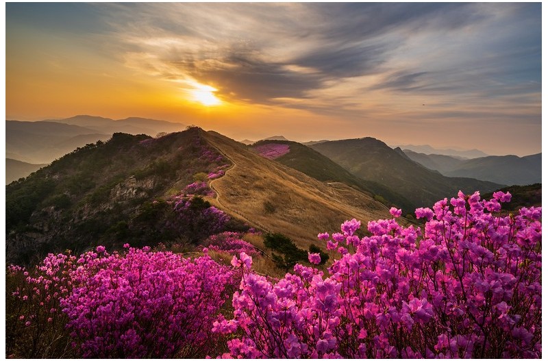 PHOTO BY  | NIKON Z 6_2  | 2024:04:13 06:24:41  | ISO-200 | 1/60 sec | f 16 | 19.5 mm | EV=0 | ● WIDTH:1500 pixels  HEIGHT:998 pixels