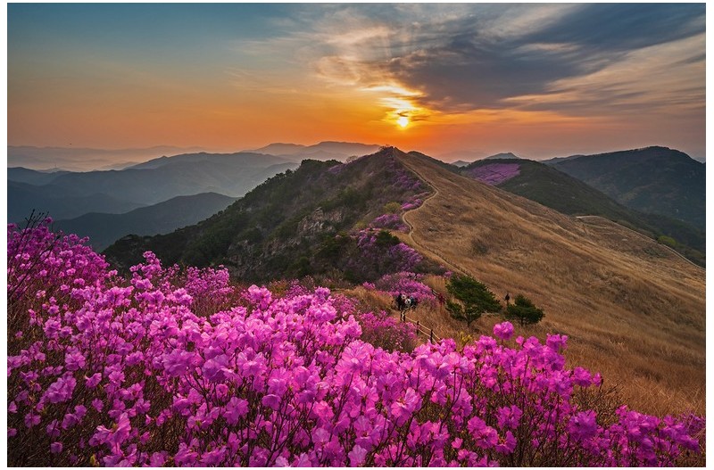 PHOTO BY  | NIKON Z 6_2  | 2024:04:13 06:17:09  | ISO-200 | 1/40 sec | f 16 | 18.5 mm | EV=0 | ● WIDTH:1500 pixels  HEIGHT:998 pixels
