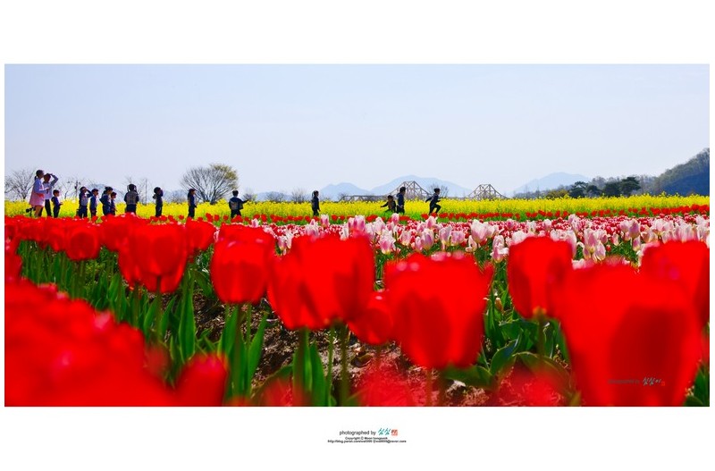 PHOTO BY MHS  | NIKON D850  | 2024:04:05 10:22:32  | ISO-64 | 1/2000 sec | f 4.5 | 28 mm | EV=0 | ● WIDTH:1700 pixels  HEIGHT:1123 pixels