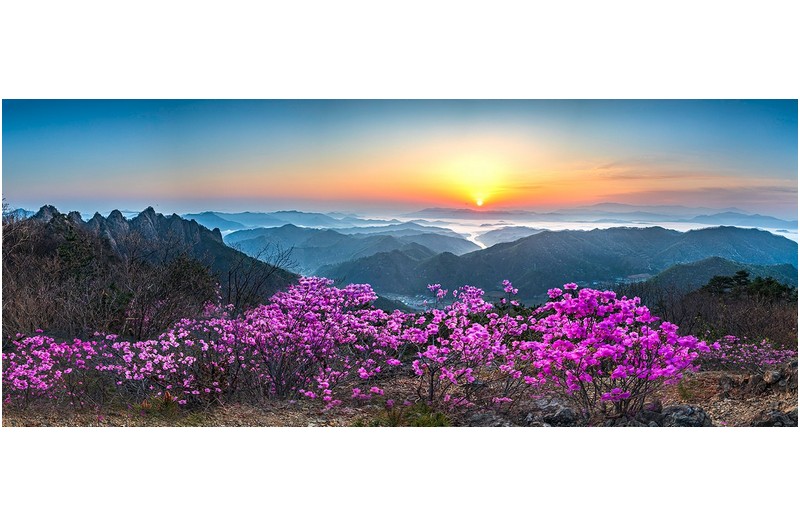 PHOTO BY  | Canon EOS 5D Mark IV  | 2024:04:13 06:09:19  | ISO-250 | 1/8 sec | f 13 | 27 mm | EV=0 | ● WIDTH:1700 pixels  HEIGHT:701 pixels