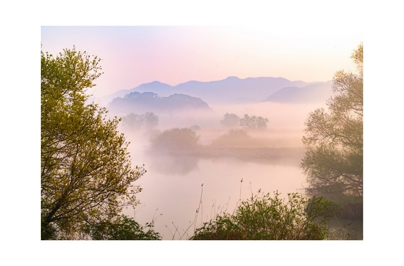PHOTO BY Sil Sang Kim  | ILCE-7RM4  | 2024:04:06 18:39:45  | ISO-100 | 1/80 sec | f 8 | 69 mm | EV=0 | ● WIDTH:1954 pixels  HEIGHT:1387 pixels