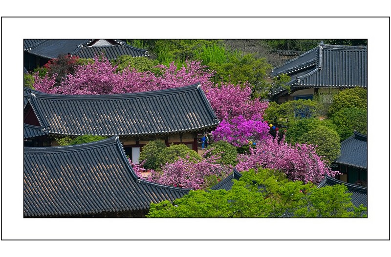   | PHOTO BY : 삿갓/정봉식  |