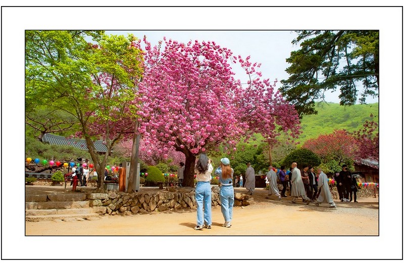   | PHOTO BY : 삿갓/정봉식  |