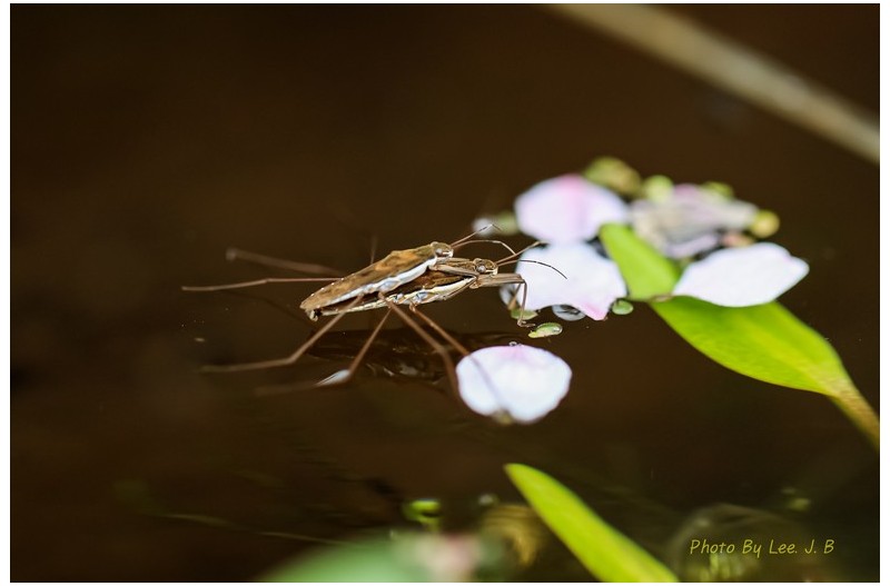 PHOTO BY  | Canon EOS R3  | 2024:04:07 16:58:01  | ISO-250 | 1/160 sec | f 2.8 | 100 mm | EV=0 | ● WIDTH:3089 pixels  HEIGHT:2059 pixels