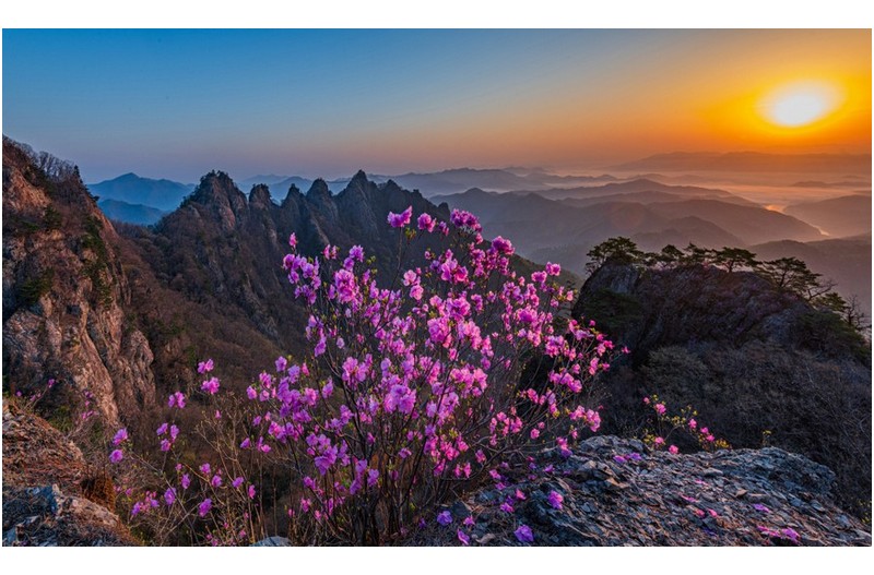 PHOTO BY CHUNGHYUNSUK  | NIKON D850  | 2024:04:13 06:04:56  | ISO-100 | 1/40 sec | f 14 | 16 mm | EV=0.3 | ● WIDTH:1000 pixels  HEIGHT:596 pixels