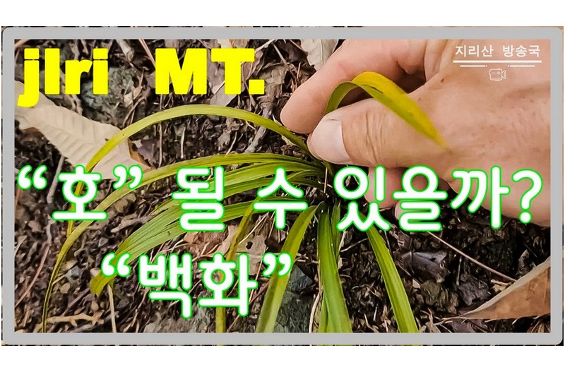   | PHOTO BY : 지리산도사/김종관  |