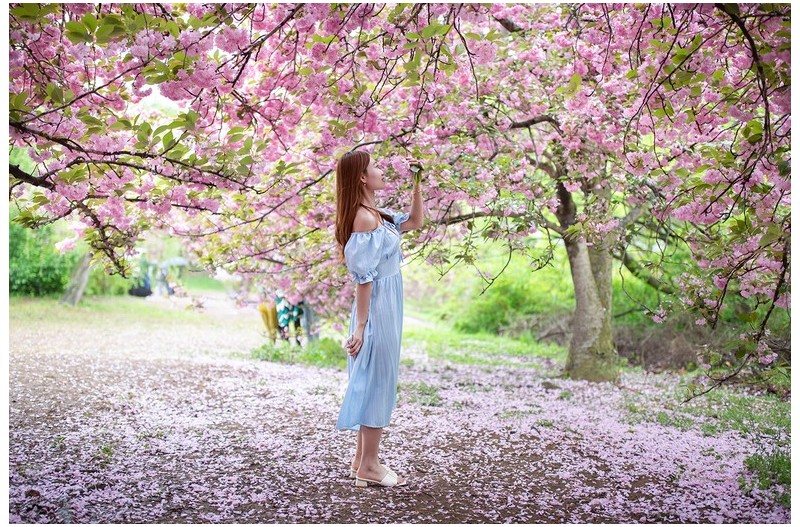 PHOTO BY  | Canon EOS 5D Mark III  | 2024:04:21 12:28:23  | ISO-250 | 1/1250 sec | f 1.4 | 35 mm | EV=0 | ● WIDTH:1500 pixels  HEIGHT:1000 pixels