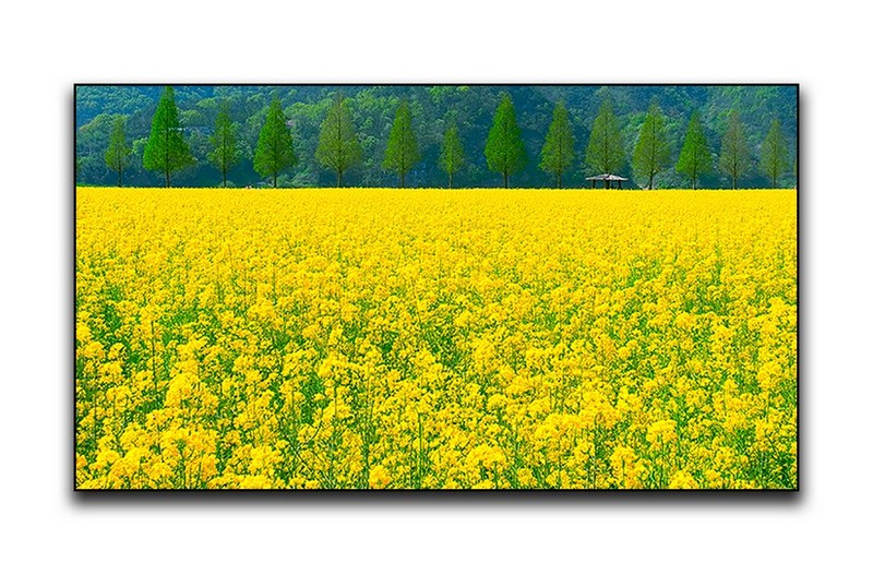 PHOTO BY  | LEICA X1  | 2024:04:13 11:35:17  | ISO-100 | 1/320 sec | f 8 | 24 mm | EV=0 | ● WIDTH:1436 pixels  HEIGHT:911 pixels