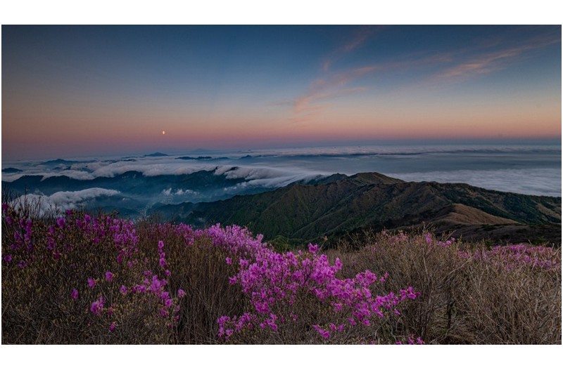 PHOTO BY CHUNGHYUNSUK  | NIKON D850  | 2024:04:25 05:32:30  | ISO-200 | 1/10 sec | f 10 | 16 mm | EV=0.3 | ● WIDTH:1000 pixels  HEIGHT:573 pixels