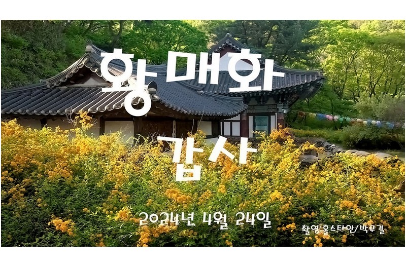   | PHOTO BY : 홀스타인/박무길  |